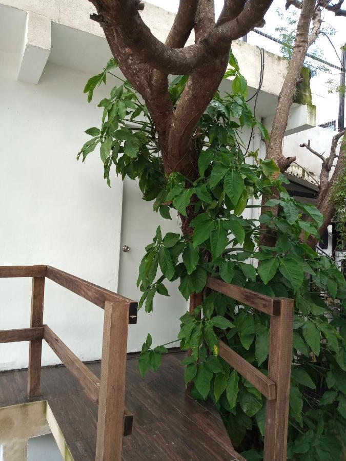 Estudio Zona Centro Cerca De La Terminal Ado 坎昆 外观 照片