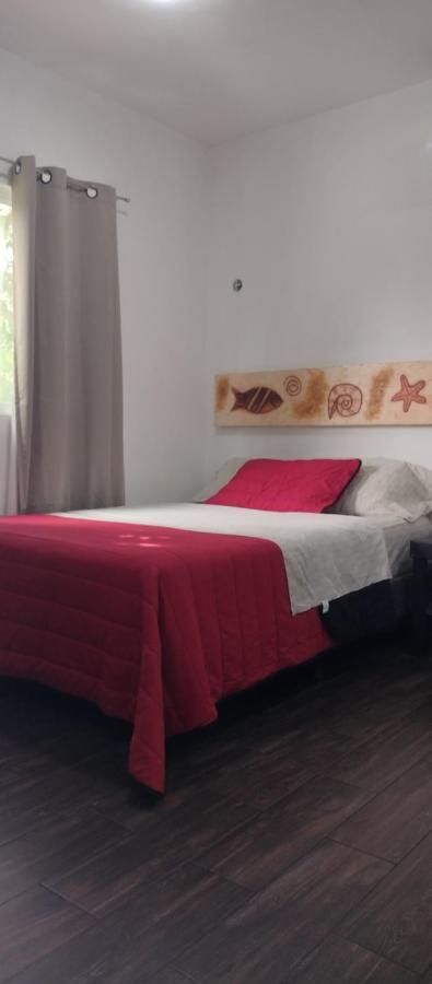 Estudio Zona Centro Cerca De La Terminal Ado 坎昆 外观 照片