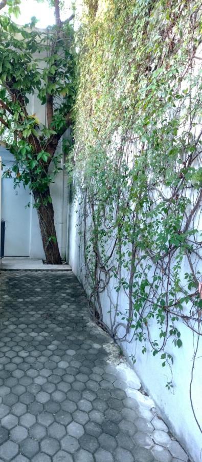 Estudio Zona Centro Cerca De La Terminal Ado 坎昆 外观 照片