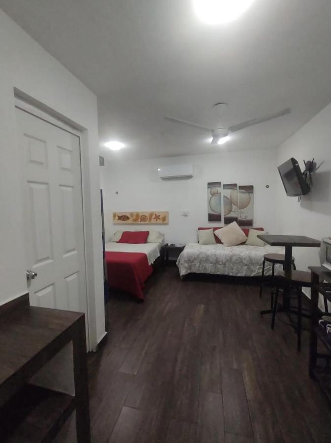 Estudio Zona Centro Cerca De La Terminal Ado 坎昆 外观 照片